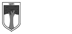 Logo branca